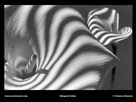 Fondos de escritorio y pantalla de Arte y Diseo